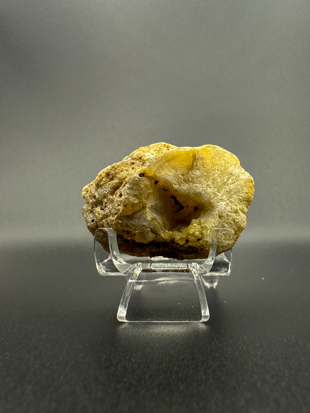 Dark Agate w/Crystal Pocket! (cut/hand polished)