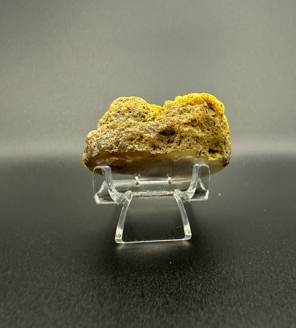 Dark Agate w/Crystal Pocket! (cut/hand polished)